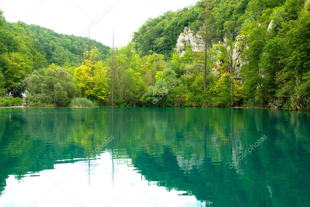 Mirror reflection of the forest in the lake. Plitvice National Park, Croatia