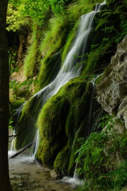 Plitvice Ulusal Parkı 'ndaki ormanda su falı