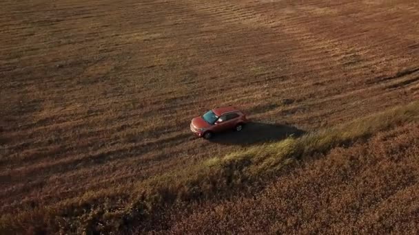 Summer Aerial Drone Pov Orange Car Driving Wheat Fields — Stock Video