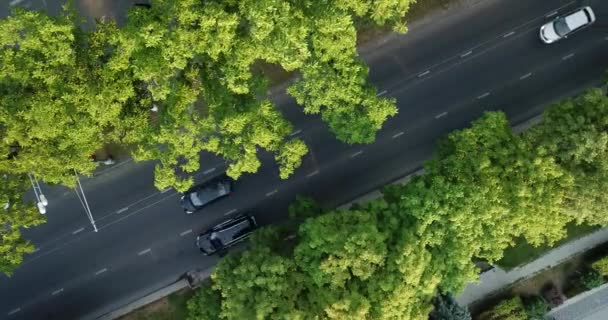 Drone Aéreo Voo Cima Para Baixo Vista Rodovia Movimentada Cidade — Vídeo de Stock