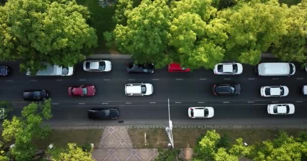 고속도로 고속도로 비행기 교차로도 아래에서 비행에 자동차와 시간에 교통의 — 비디오