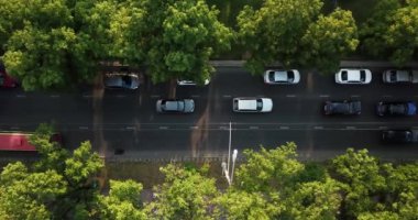 Hava Drone uçuş yukarıdan aşağıya yoğun şehir bitirim yoğun trafik reçel otoyol görünümünü. Araç kesişme, trafik tepe saatte arabalar yolda, ağaçların altında sinek ile havadan görünümü.