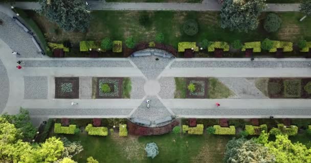 Zomer Luchtfoto Drone Beelden Van Stadspark Met Tuinieren Top Weergave — Stockvideo