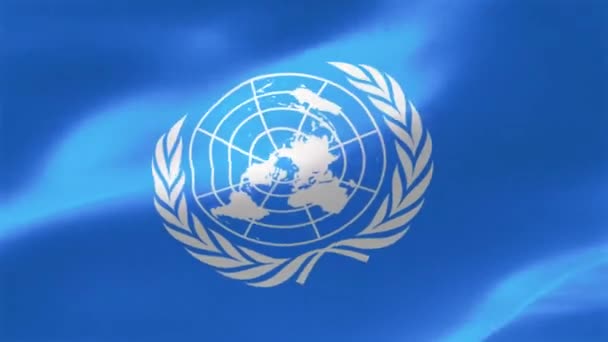 Flag United Nations Consists Official Emblem United Nations White Blue — Stock Video