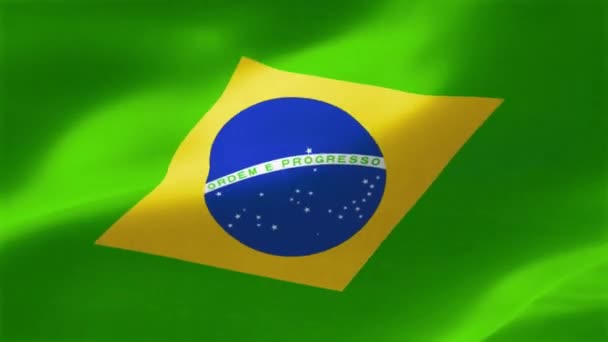 Vlag Van Brazilië — Stockvideo