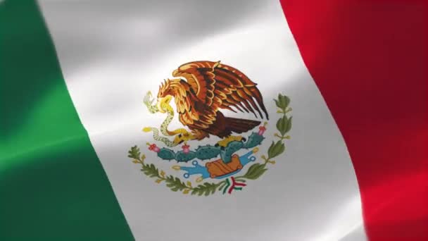 Bandera Mxico Tricolor Vertical Color Verde Blanco Rojo Con Escudo — Vídeos de Stock