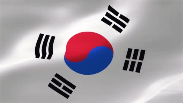 Bandera Corea Del Sur También Conocida Como Taegukgi Bandera Texturizada — Vídeos de Stock