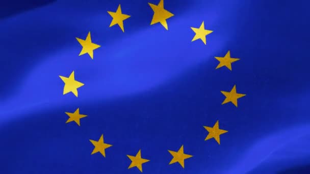 European Flag Official Symbol Two Separate Organisationsthe Council Europe Coe — Stock Video