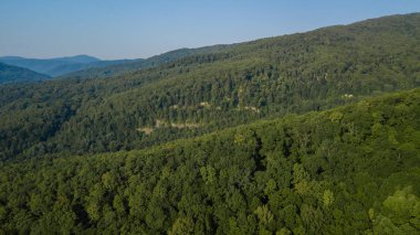 Yaz yeşil ağaçlar ve dağ, Kafkasya, Rusya Federasyonu Hava üstten görünüm. Uçak fotoğraf. İğne yapraklı ve yaprak döken ağaçlar. Çam ormanı üst kısımları üzerinde güzel panoramik fotoğraf.