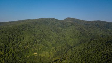 Yaz yeşil ağaçlar ve dağ, Kafkasya, Rusya Federasyonu Hava üstten görünüm. Uçak fotoğraf. İğne yapraklı ve yaprak döken ağaçlar. Çam ormanı üst kısımları üzerinde güzel panoramik fotoğraf.