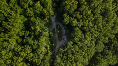 Rusya, Kafkasya 'da orman arka planındaki yeşil ağaçların havadan görünüşü. Drone fotoğrafçılığı. Kozalaklı ve yaprak döken ağaçlar, orman yolu. Çam ormanının tepesinde güzel bir panoramik fotoğraf.