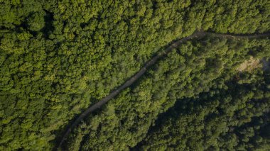 Rusya, Kafkasya 'da orman arka planındaki yeşil ağaçların havadan görünüşü. Drone fotoğrafçılığı. Kozalaklı ve yaprak döken ağaçlar, orman yolu. Çam ormanının tepesinde güzel bir panoramik fotoğraf.