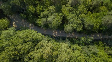 Rusya, Kafkasya 'da orman arka planındaki yeşil ağaçların havadan görünüşü. Drone fotoğrafçılığı. Kozalaklı ve yaprak döken ağaçlar, orman yolu. Çam ormanının tepesinde güzel bir panoramik fotoğraf.
