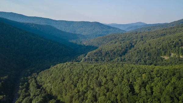 Top Luchtfoto Van Zomer Groene Bomen Berg Kaukasus Rusland Drone — Stockfoto