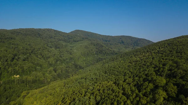Yaz Yeşil Ağaçlar Dağ Kafkasya Rusya Federasyonu Hava Üstten Görünüm — Stok fotoğraf