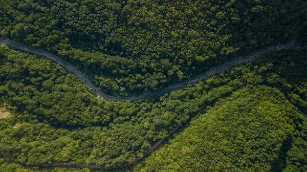 Rusya, Kafkasya 'da orman arka planındaki yeşil ağaçların havadan görünüşü. Drone fotoğrafçılığı. Kozalaklı ve yaprak döken ağaçlar, orman yolu. Çam ormanının tepesinde güzel bir panoramik fotoğraf.