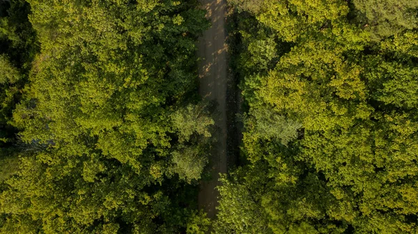 Aerial Top View Nyári Zöld Fák Erdő Háttér Kaukázus Oroszország — Stock Fotó