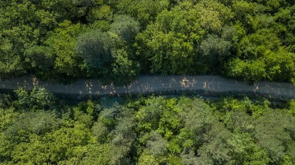 Rusya, Kafkasya 'da orman arka planındaki yeşil ağaçların havadan görünüşü. Drone fotoğrafçılığı. Kozalaklı ve yaprak döken ağaçlar, orman yolu. Çam ormanının tepesinde güzel bir panoramik fotoğraf.