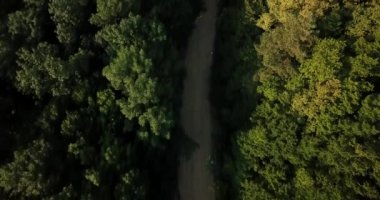 Rusya orman ve dağlar hava dron tarafından mavi gökyüzünün altında. Çarpıcı havadan dron Stok görüntüleri Güney Rus orman ve dağlar altında mavi gökyüzü