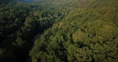 Rusya orman ve dağlar hava dron tarafından mavi gökyüzünün altında. Çarpıcı havadan dron Stok görüntüleri Güney Rus orman ve dağlar altında mavi gökyüzü