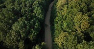 Rusya orman ve dağlar hava dron tarafından mavi gökyüzünün altında. Çarpıcı havadan dron Stok görüntüleri Güney Rus orman ve dağlar altında mavi gökyüzü