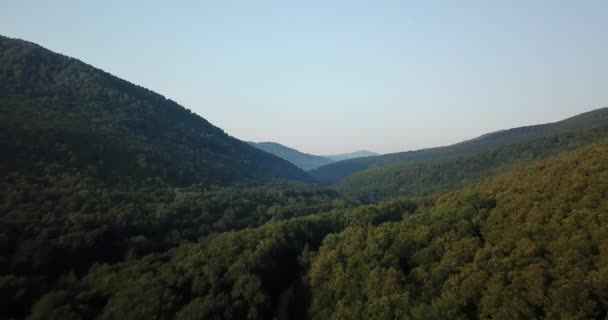 Floresta Russa Montanhas Sob Céu Azul Por Drone Aéreo Filmagem — Vídeo de Stock