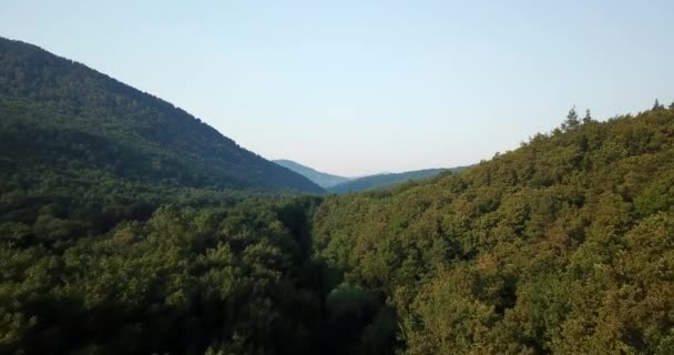 Russisch Bos Bergen Onder Blue Sky Door Luchtfoto Drone Prachtige — Stockvideo