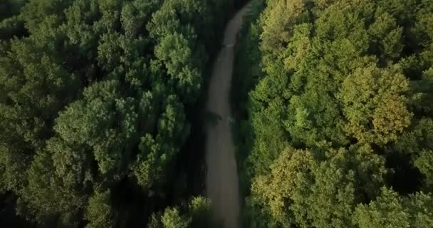 Rosyjski Las Góry Pod Błękitne Niebo Przez Lotnicze Drone Oszałamiająca — Wideo stockowe