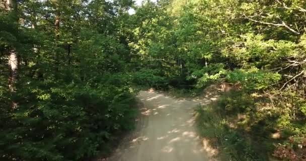 Les arbres forestiers qui passent devant le soleil couchant volent par drone en gros plan sur la nature. Forêt verte voler à travers, Russie du Sud .