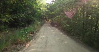 Orman ağaçları izleme atış günbatımı geçen uçağı hava yakın doğa kadar sinek. Yeşil orman sinek aracılığıyla, Güney Rusya.