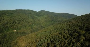 Rusya orman ve dağlar hava dron tarafından mavi gökyüzünün altında. Çarpıcı havadan dron Stok görüntüleri Güney Rus orman ve dağlar altında mavi gökyüzü