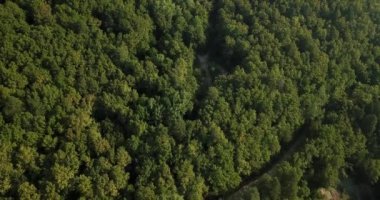 Rusya orman ve dağlar hava dron tarafından mavi gökyüzünün altında. Çarpıcı havadan dron Stok görüntüleri Güney Rus orman ve dağlar altında mavi gökyüzü