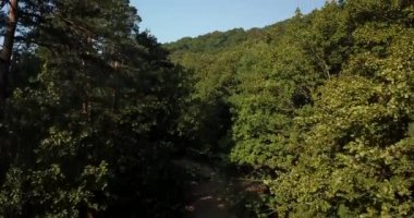 Rusya orman ve dağlar hava dron tarafından mavi gökyüzünün altında. Çarpıcı havadan dron Stok görüntüleri Güney Rus orman ve dağlar altında mavi gökyüzü