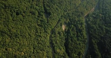 Rusya orman ve dağlar hava dron tarafından mavi gökyüzünün altında. Çarpıcı havadan dron Stok görüntüleri Güney Rus orman ve dağlar altında mavi gökyüzü