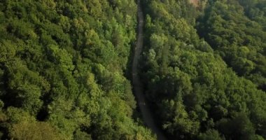 Rusya orman ve dağlar hava dron tarafından mavi gökyüzünün altında. Çarpıcı havadan dron Stok görüntüleri Güney Rus orman ve dağlar altında mavi gökyüzü