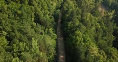 Rusya orman ve dağlar hava dron tarafından mavi gökyüzünün altında. Çarpıcı havadan dron Stok görüntüleri Güney Rus orman ve dağlar altında mavi gökyüzü