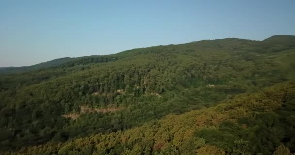 ロシア森林および山空中ドローンで青い空の下で 見事な空中ドローン ストック映像の南ロシアの森と山の下で青空 — ストック動画