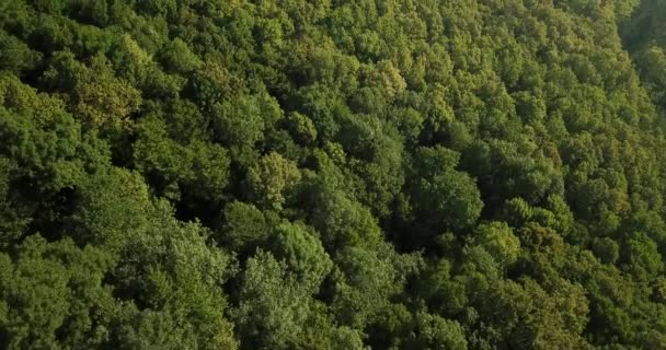 Forêt Russe Montagnes Sous Ciel Bleu Par Drone Aérien Superbe — Video