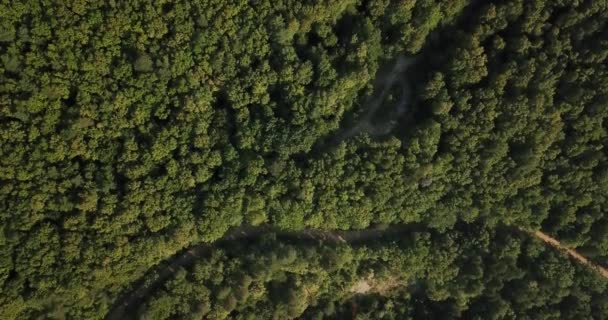 Forêt Russe Et Montagnes Sous Le Ciel Bleu Par Drone Aérien. Superbe Drone Stock Footage De La Forêt De Russie Du Sud Et Des Montagnes Sous Le Ciel Bleu 