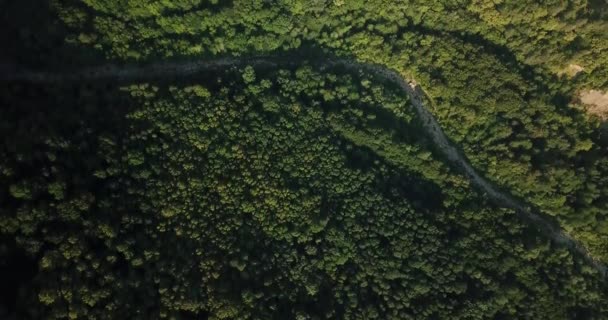 Floresta Russa Montanhas Sob Céu Azul Por Drone Aéreo Filmagem — Vídeo de Stock