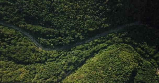 Russisch Bos Bergen Onder Blue Sky Door Luchtfoto Drone Prachtige — Stockvideo