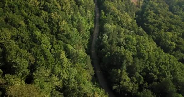 Russisch Bos Bergen Onder Blue Sky Door Luchtfoto Drone Prachtige — Stockvideo