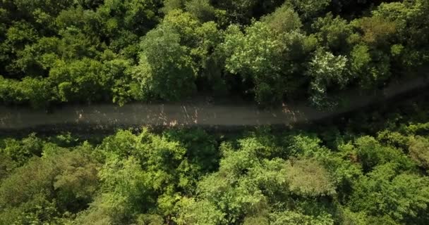 Rusya Orman Dağlar Hava Dron Tarafından Mavi Gökyüzünün Altında Çarpıcı — Stok video