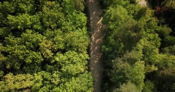 Rosyjski Las Góry Pod Błękitne Niebo Przez Lotnicze Drone Oszałamiająca — Wideo stockowe