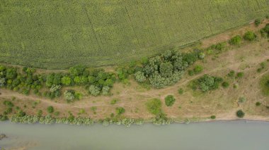 Hava üstten görünüm yaz yeşil ağaçlar, nehir, orman arka planda yollar. Uçak fotoğraf. İğne yapraklı ve yaprak döken ağaçlar, orman yolu. Çam ormanı üst kısımları üzerinde güzel panoramik fotoğraf.