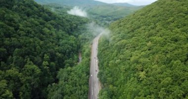 4 k hava Stok görüntüleri dolambaçlı dağ pass yol Sochi, Rusya'nın Ormanı boyunca sürüş araba. İnsanlar seyahat, güzel kırsal manzara virajlı yolda yolculuk.