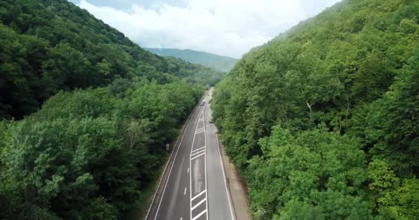Повітряних Відеоматеріал Автомобіля Проїжджаючи Звивистій Гірській Дорозі Прохід Через Ліс — стокове відео