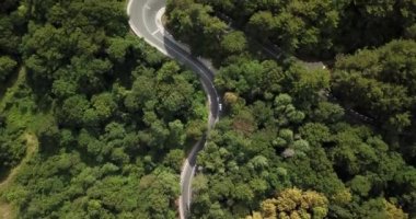 4 k hava Stok görüntüleri dolambaçlı dağ pass yol Sochi, Rusya'nın Ormanı boyunca sürüş araba. İnsanlar seyahat, güzel kırsal manzara virajlı yolda yolculuk.