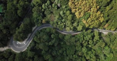 4 k hava Stok görüntüleri dolambaçlı dağ pass yol Sochi, Rusya'nın Ormanı boyunca sürüş araba. İnsanlar seyahat, güzel kırsal manzara virajlı yolda yolculuk.