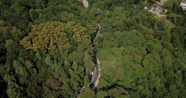 Luftaufnahmen Von Autos Die Auf Der Kurvenreichen Passstraße Durch Den — Stockvideo